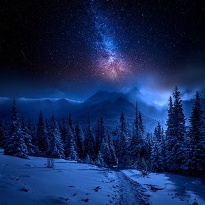 Meet your Posher, Francis